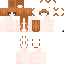 .~♡orange hair bace♡~. skin texture file (64×64)